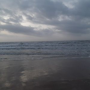 Meet your Posher, Charli